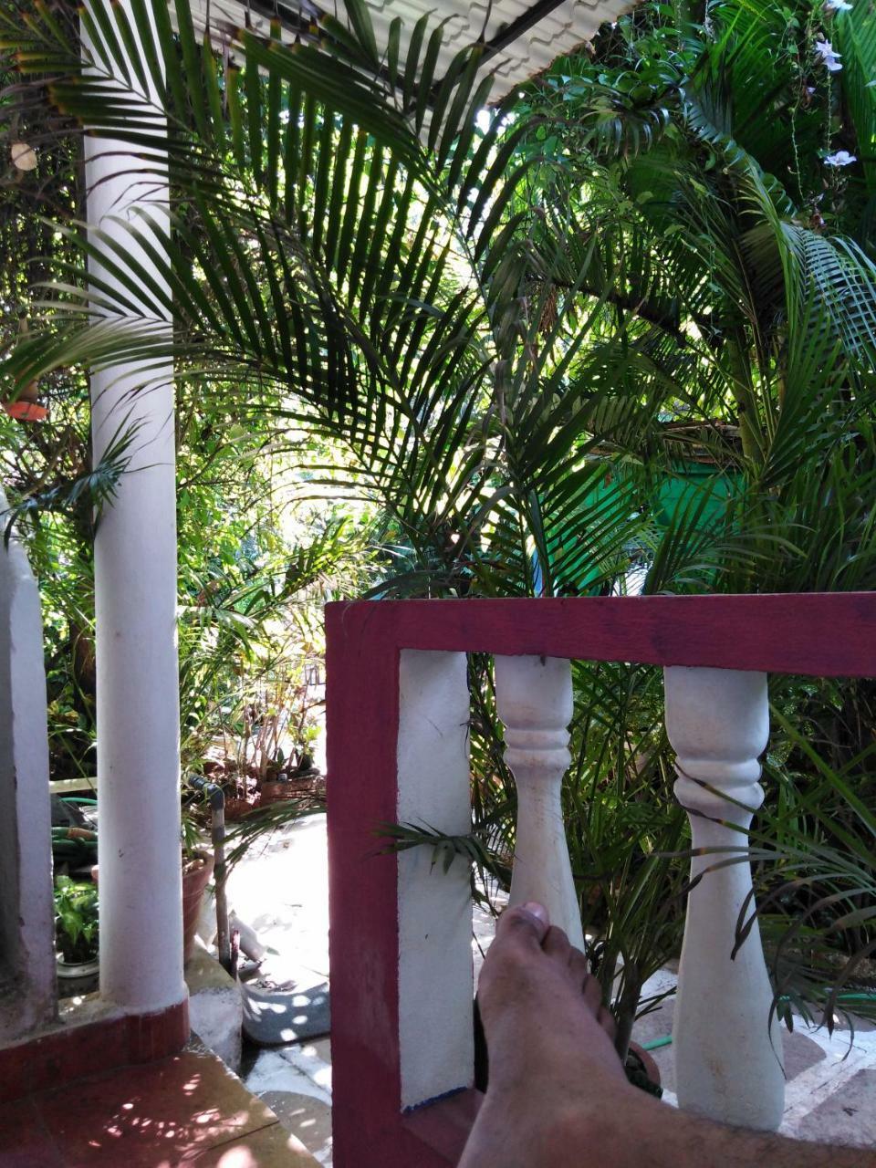 Guest house Sua Casa